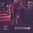 Andy Mate - Funk Enough (Original Mix)