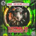Mad Scientists - Higher State (Original Mix)