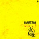 Paranormal Attack, Sumatrah - Why? (Paranormal Attack Remix)