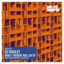 Ed Ridgley - Joy In My Life (Original Mix)