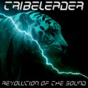 Tribeleader - CHANTS OF LIGHT (Original Mix)