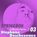 Stephane Deschezeaux - The Right Stuff (Original Mix)