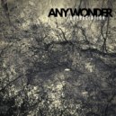 Any Wonder - Palm Springs (Thèmemoir Reimagined Remix)