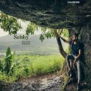 VA / Mixed by D&mON - SEBBY / CHiLLGRESSiVE ()