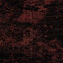 Nika Kartvelishvili - Transition