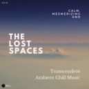 Chill Carrier - Beyond Space (Original Mix)