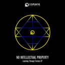 No Intellectual Property - Agonizing Smiles (Original Mix)