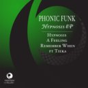 Phonic Funk - A Feeling