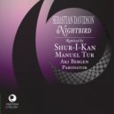 Sebastian Davidson - Nightbird (Manuel Tur Mix)