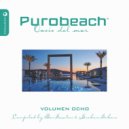Graham Sahara - Purobeach Volumen Ocho Noche, Mixed & Compiled By Graham Sahara
