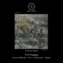 Salazar (UY) - Misterio (Original Mix)