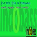 DJ Tik Tok & Mamae - Anak Ayam (SNC Remix)