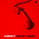 Agency - What I Want (Original Mix)