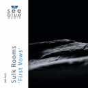 Sulk Rooms - Testimony In Progress (Original Mix)