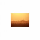 Mindfulness Healing Sleep BGM Project - Descartes and Relaxation