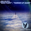 Ash M - Harden Up Again (Radio Edit)