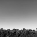 Aexexe - Harmony Texture 4 (Original Mix)