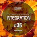 DJ Egorsky (Electronic Sound) - Integration#36 ()