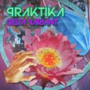 Praktika - Haahuiluu