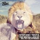Stefano Testa - The Way To Sugga ()