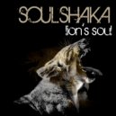 Soulshaka - Take You Higher ()