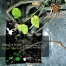 Sergey Silvertone - Passing of Time