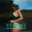Carla\'s Dreams x EMAA - N-aud (Nvrmind Extended Remix)