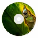 Swallow Bass - Chase You Down (Original mix)