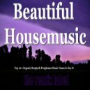 Cristian Paduraru - Beautiful Housemusic