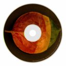 Real Transported Man & Gary Rostock - Lodestar Feat. Gary Rostock (Original mix)