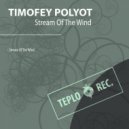Timofey Polyot - Stream Of The Wind ()