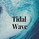 Osc Project - Tidal Wave (Original Mix)