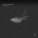 Empath, Kitkatone - Autofiction (Original Mix)