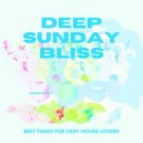 Roy Gomes - Miss Gomes (Daniel Williamsen Remix)