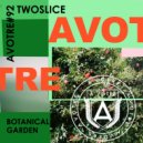 TwoSlice - The Squeeze (Original Mix)