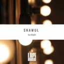 Shamul Feat. Vy - Grey Matters Of The Sky (Original Mix)