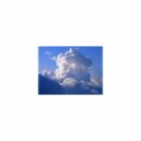 Mindfulness Healing Sleep BGM Project - Linden Flower & Rhythm (Sleep BGM)
