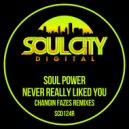 Soul Power - Never Really Liked You (Changin Fazes UK Garage Dub Remix)
