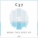 C37 - White Spires