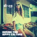 Disco Secret - During The Hippy Culture (Original Mix)