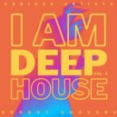 The Diventa Project - Into My Heart (Original Mix)