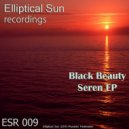 Black Beauty - Fake Sense ()