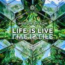 Imprum & Vaqm - Dark Vibes (Original Mix)