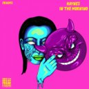 Haynes - IN THE MORNING!