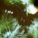 Andykate - Opioid Savage