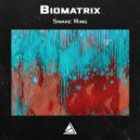 Biomatrix - Dragon Crystal (Original Mix)