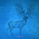 Camoflash - Land of The Lost