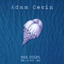 Adam Cecin - Mea Culpa (Original Mix)