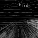 Birds - Time