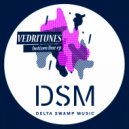 Vedritunes - Bottom Line (Original Mix)